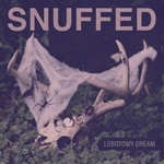 Lobotom Dream album cover